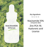 Niacinamide 10% + Zinc 1% Serum (N)