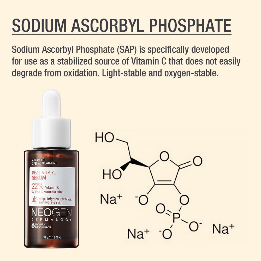 Dermalogy Vita C with Vitamin B5 & E, Niacinamide and 22% Sodium Ascorbyl Acid Serum