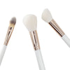 CAIRSKIN Go Golden Face Brush Set of 3